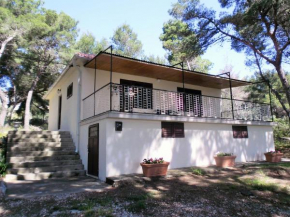 Holiday house with a parking space Sumartin, Brac - 12047